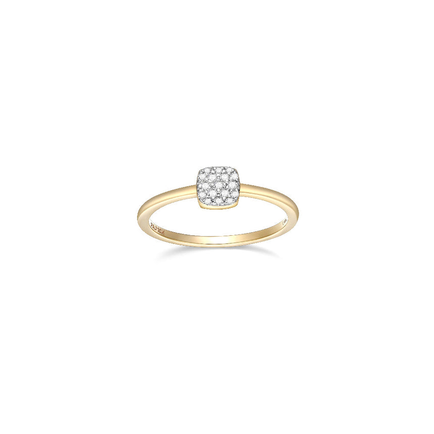 SR3517 | charles garnier