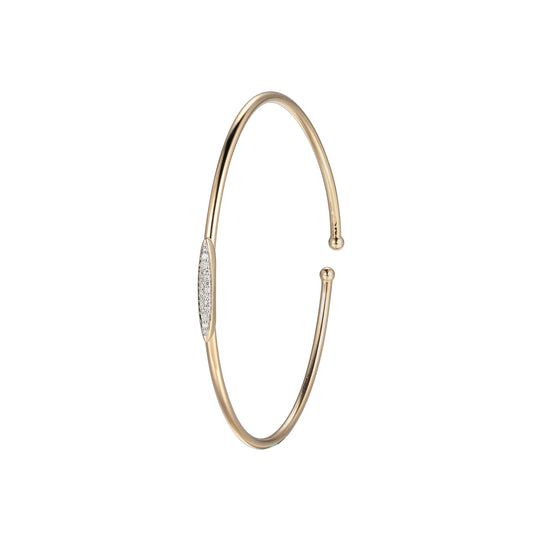 SC3538G | charles garnier