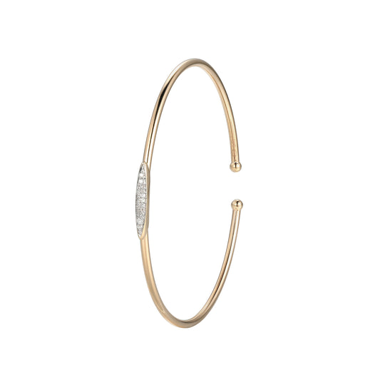 SC3538P | charles garnier