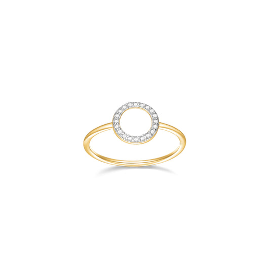 SR3513 | charles garnier