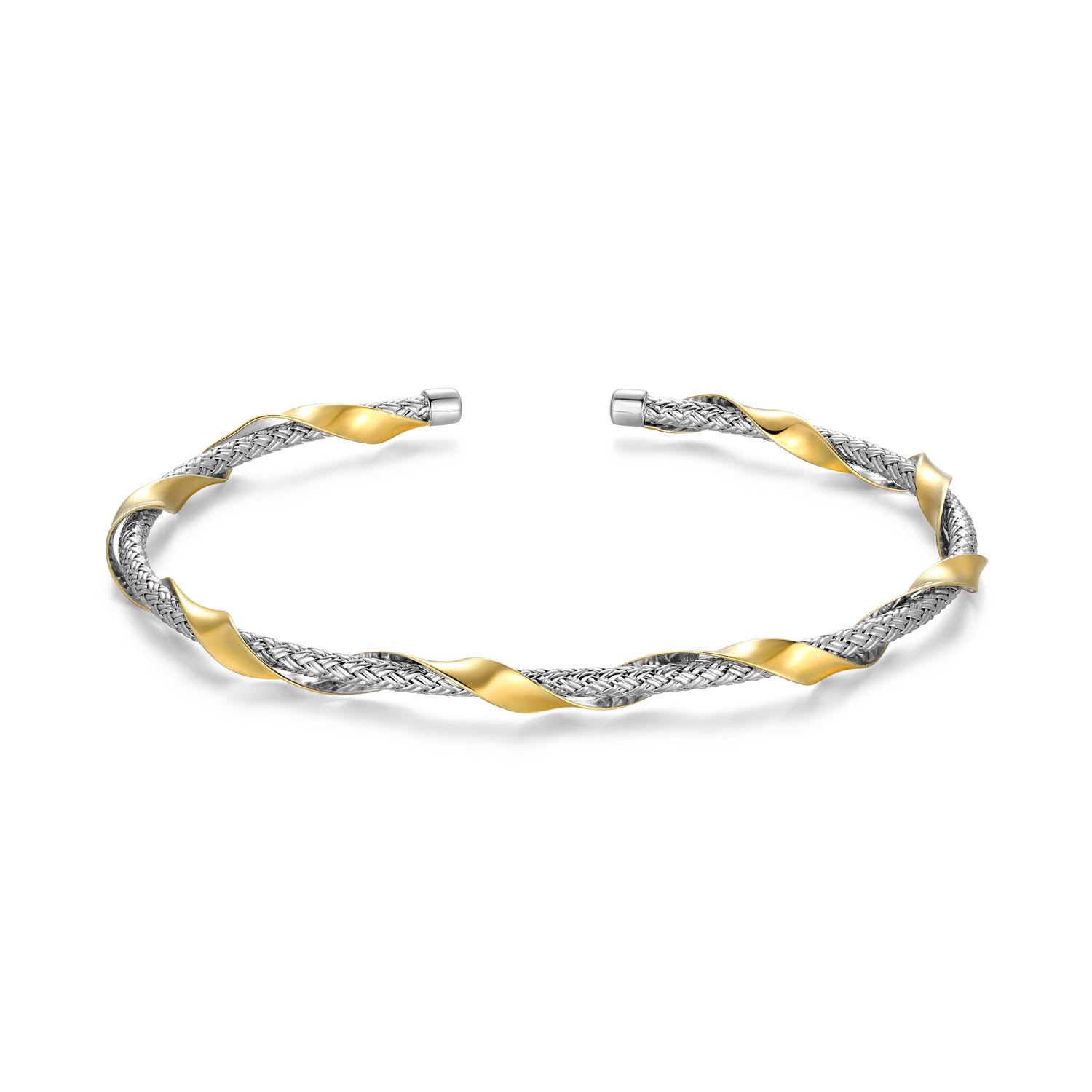 CB0139 | charles garnier