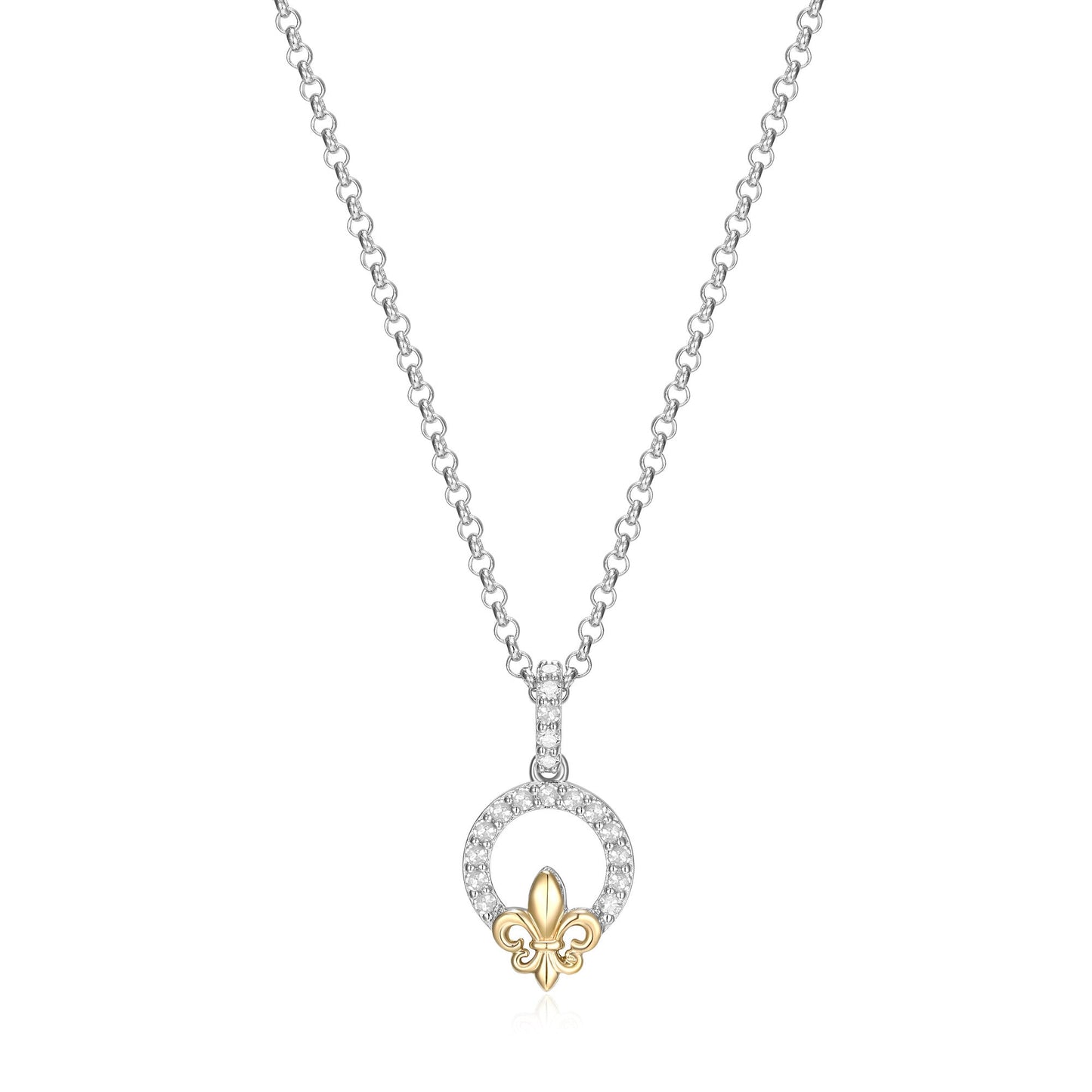 CN0085 | charles garnier