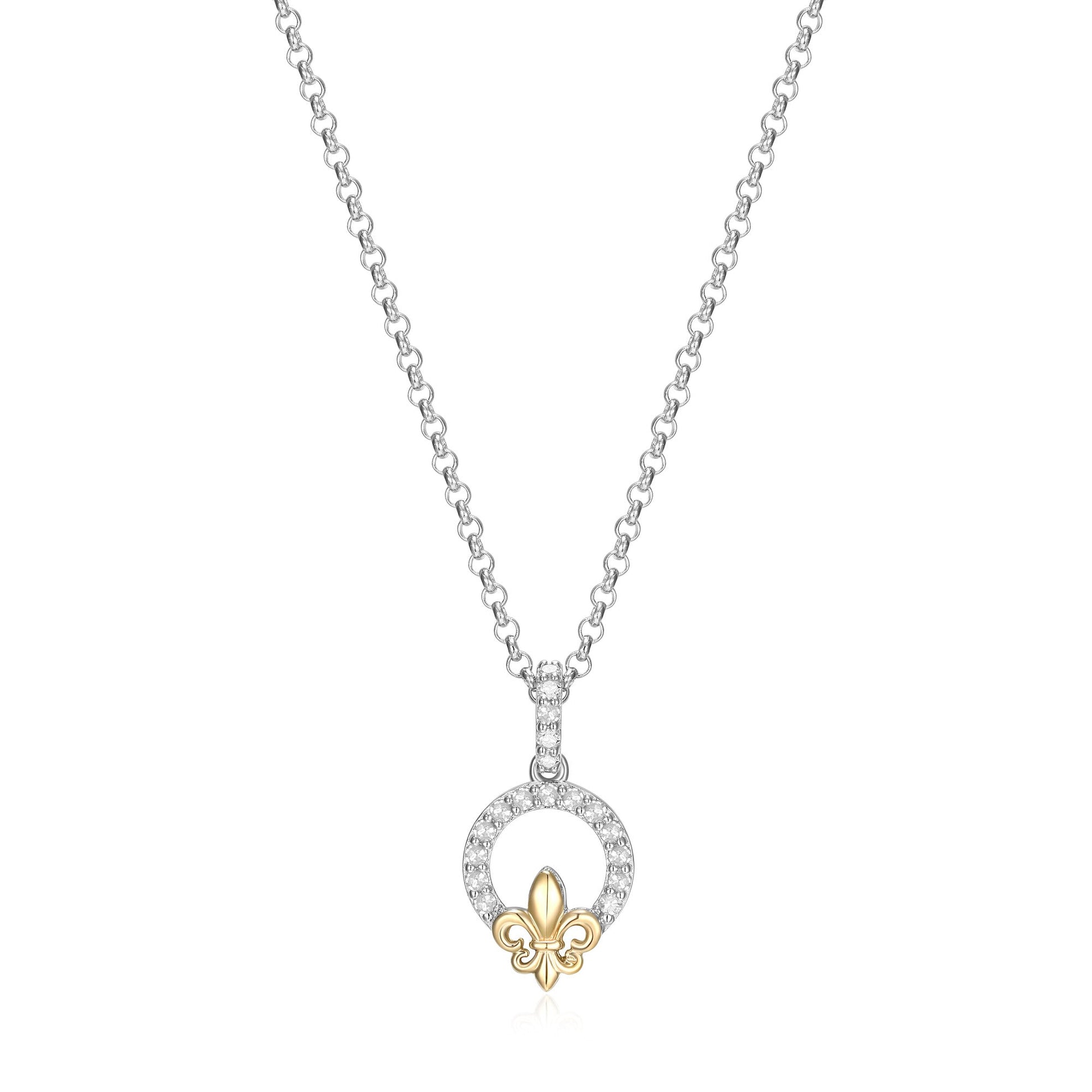 CN0085 | charles garnier