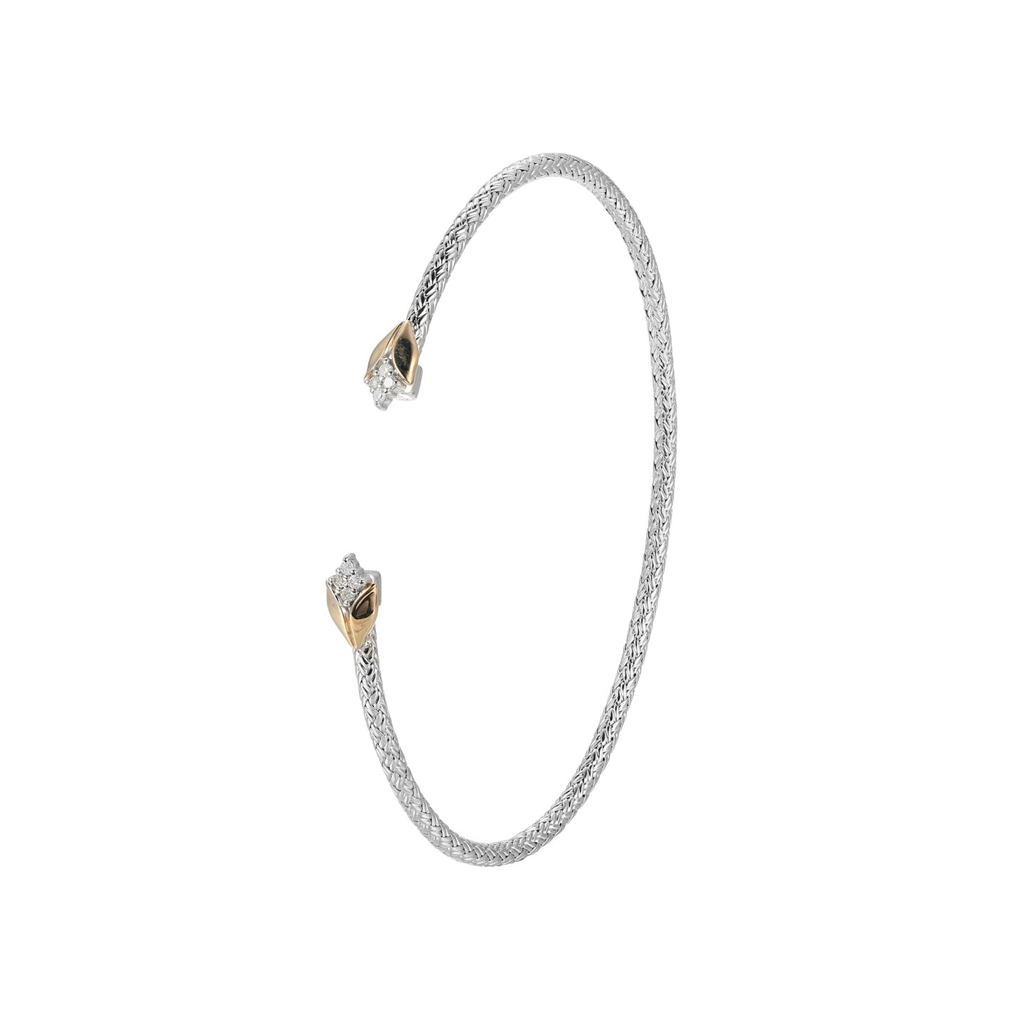 CB0052 | charles garnier