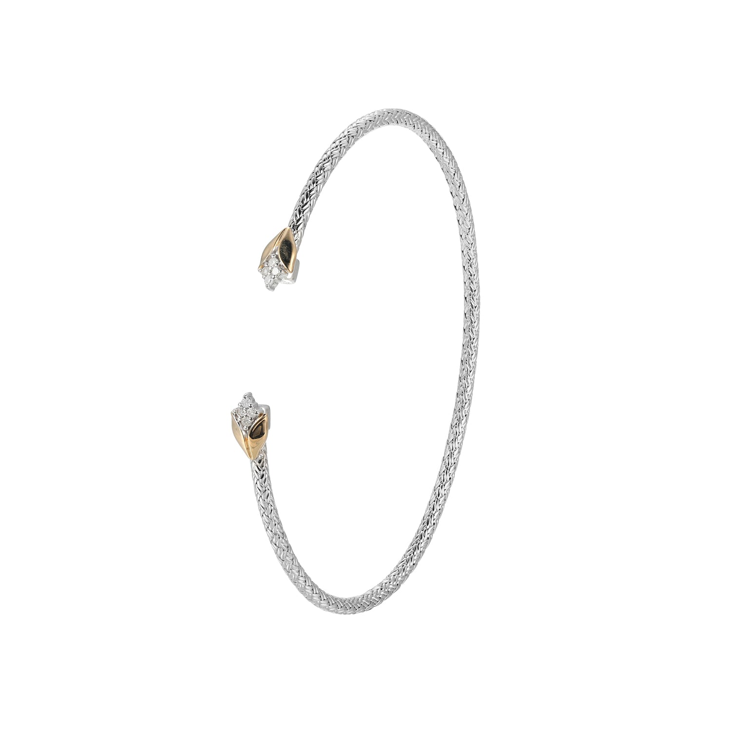 CB0052 | charles garnier