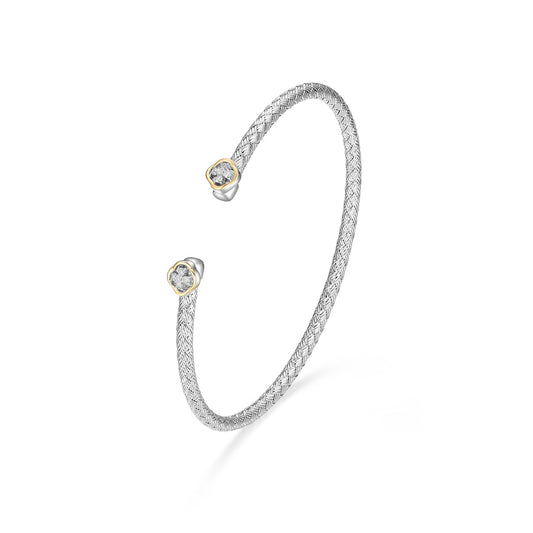 CB0084 | charles garnier