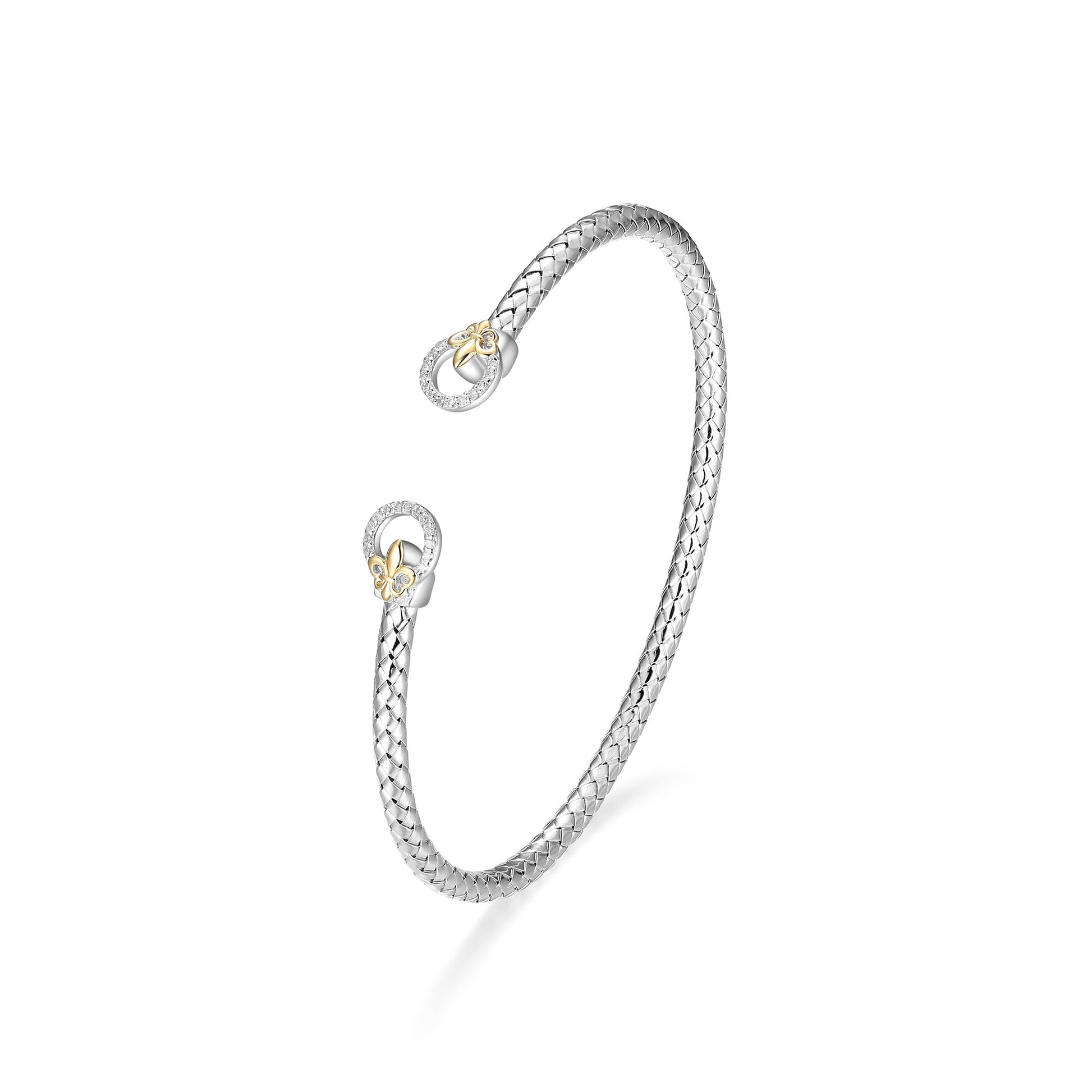 CB0085 | charles garnier