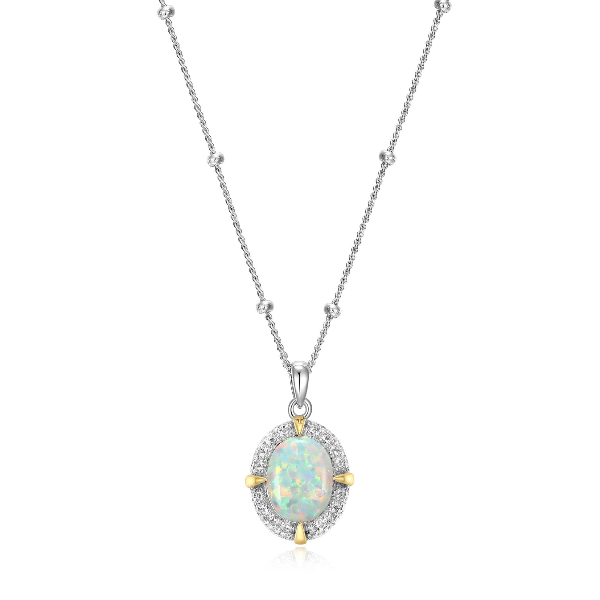 CN0081 | charles garnier