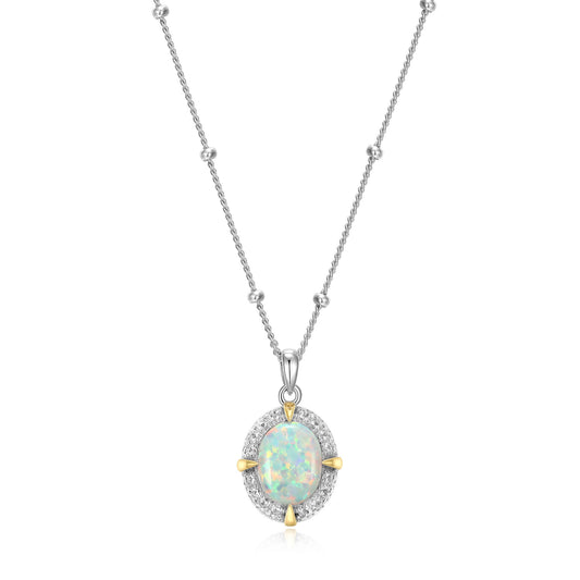 CN0081 | charles garnier