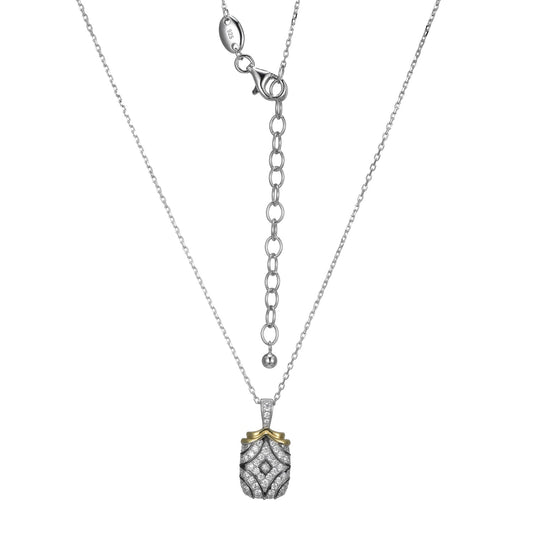 CN0090 | charles garnier