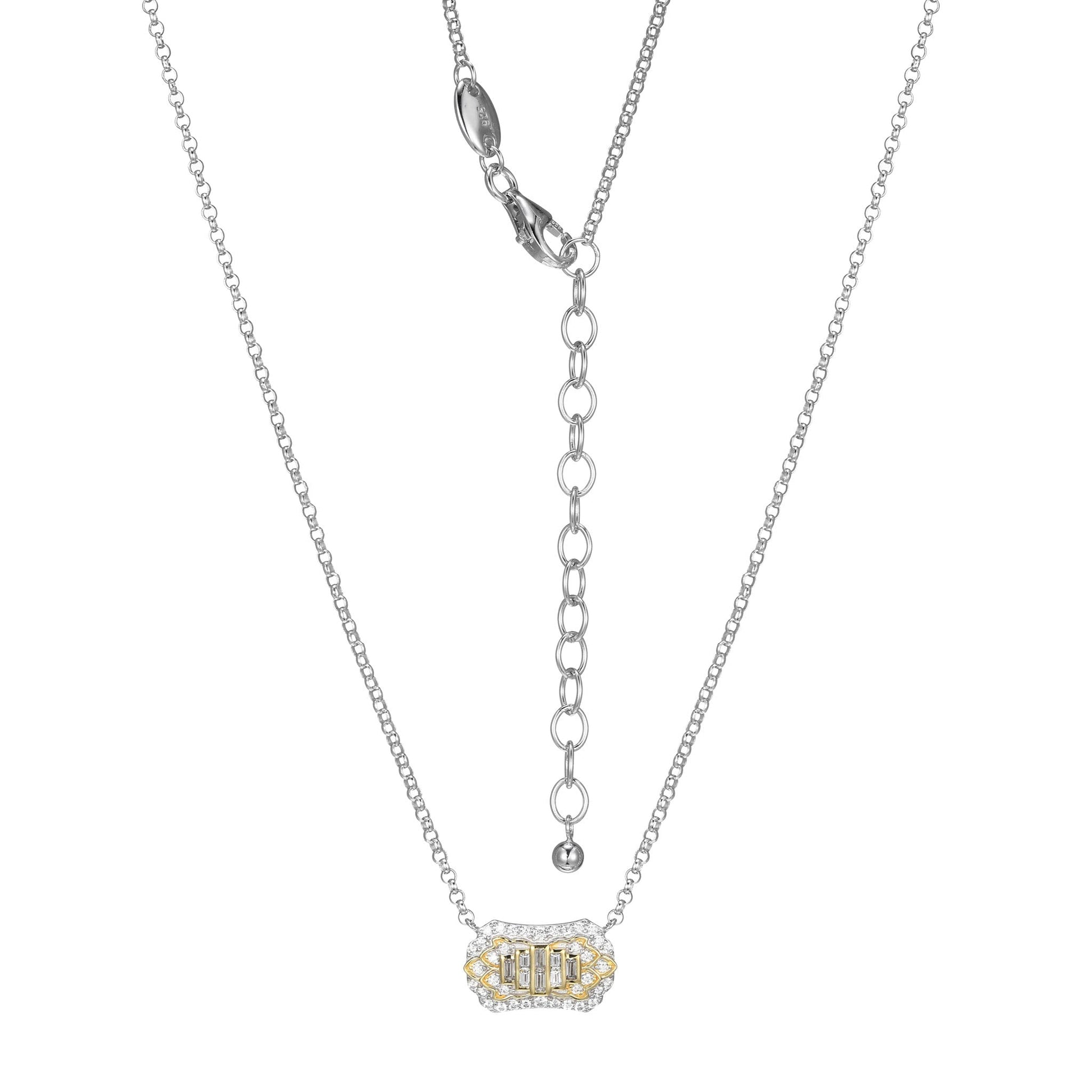 CN0091 | charles garnier