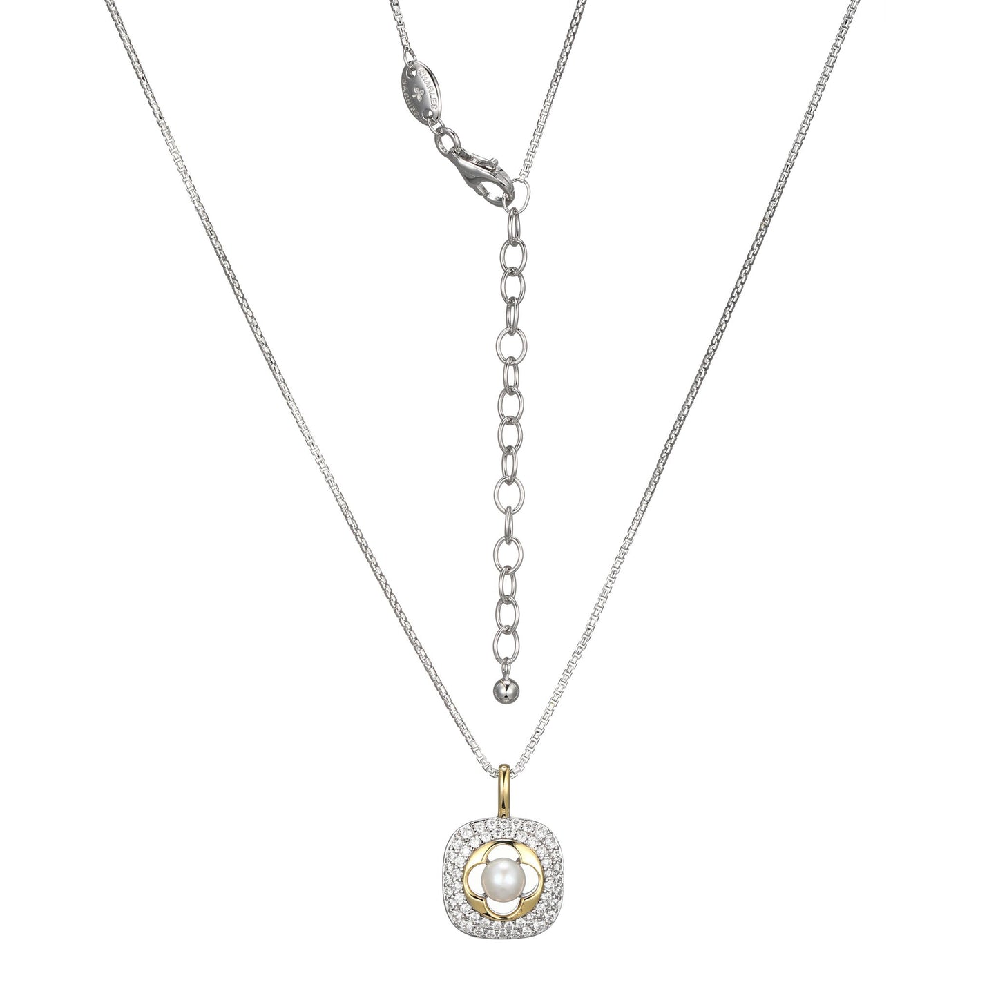 CN0107 | charles garnier