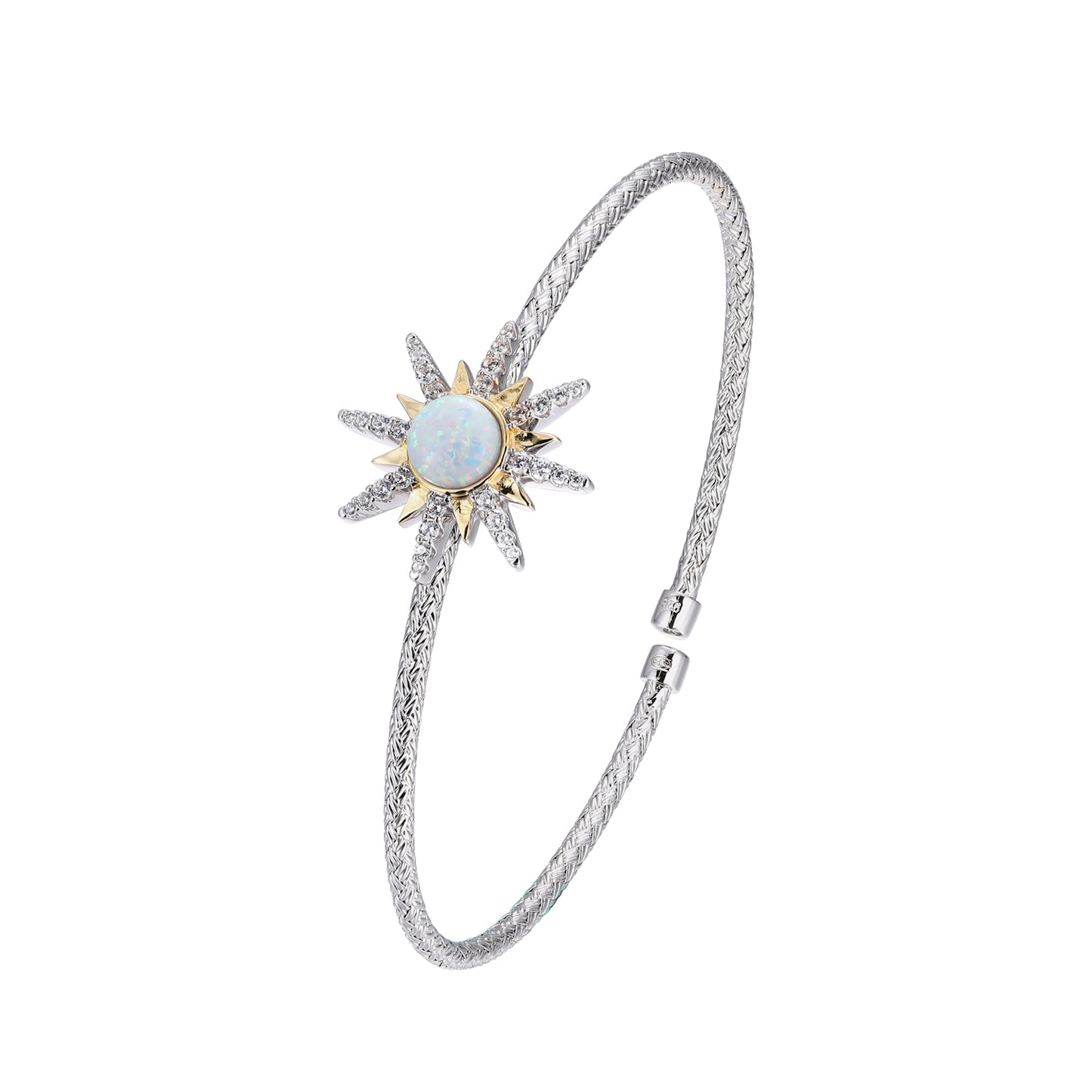 MLC3461YWOP | charles garnier