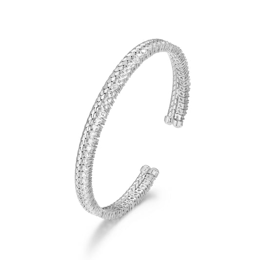 CB0067 | charles garnier