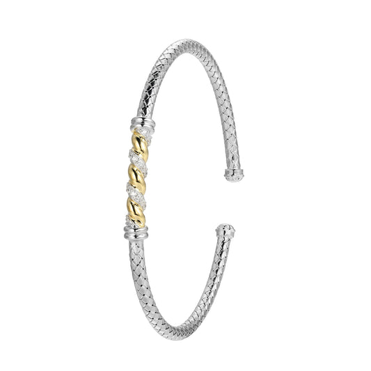 CB0099 | charles garnier