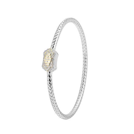 CB0091 | charles garnier