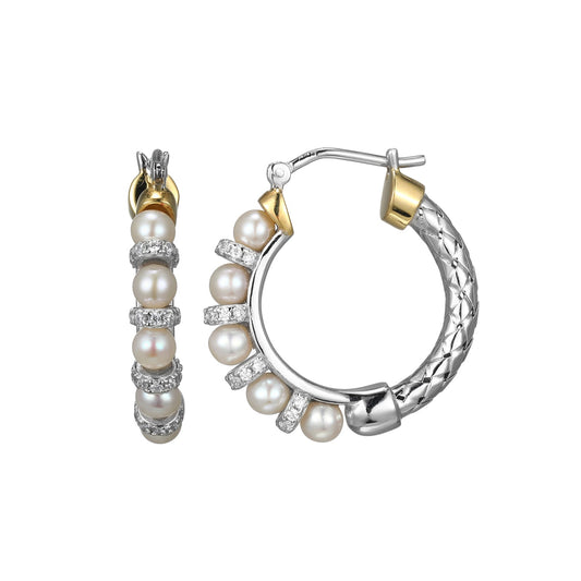 SE3540 | charles garnier