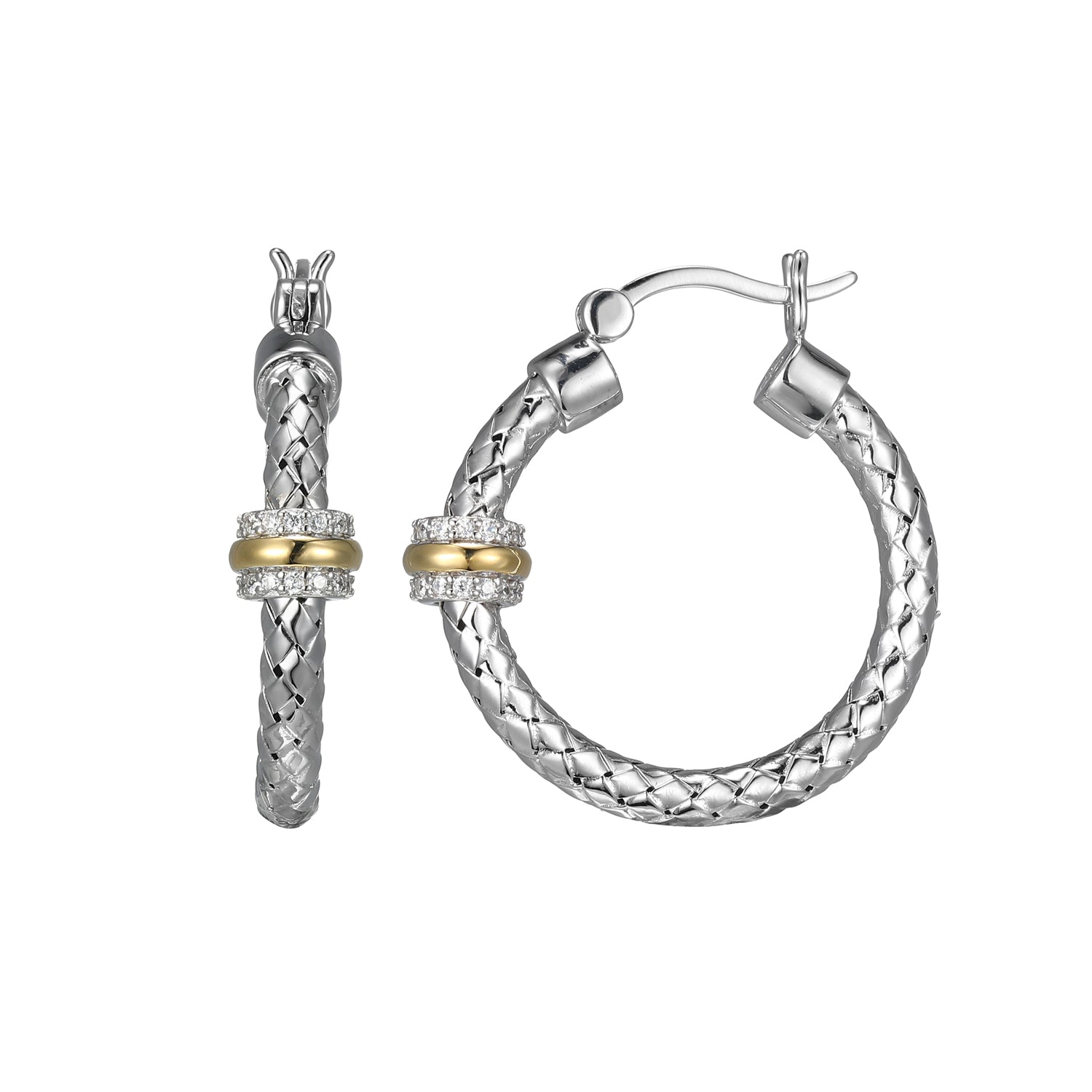 CE0066 | charles garnier