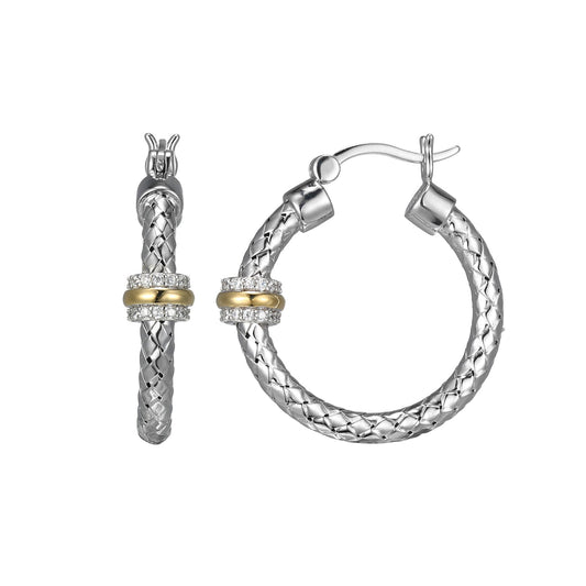 CE0066 | charles garnier