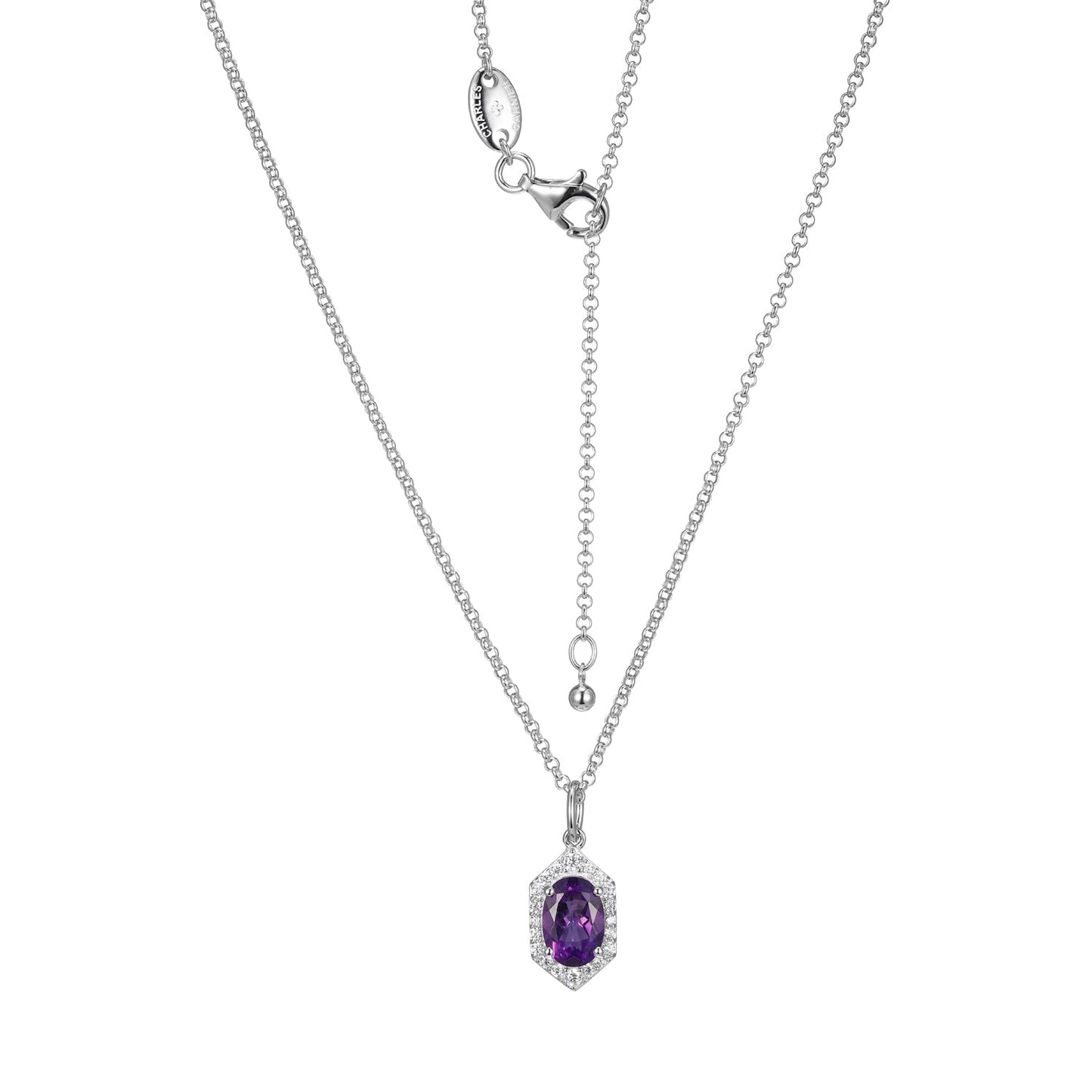 CN0060 | charles garnier