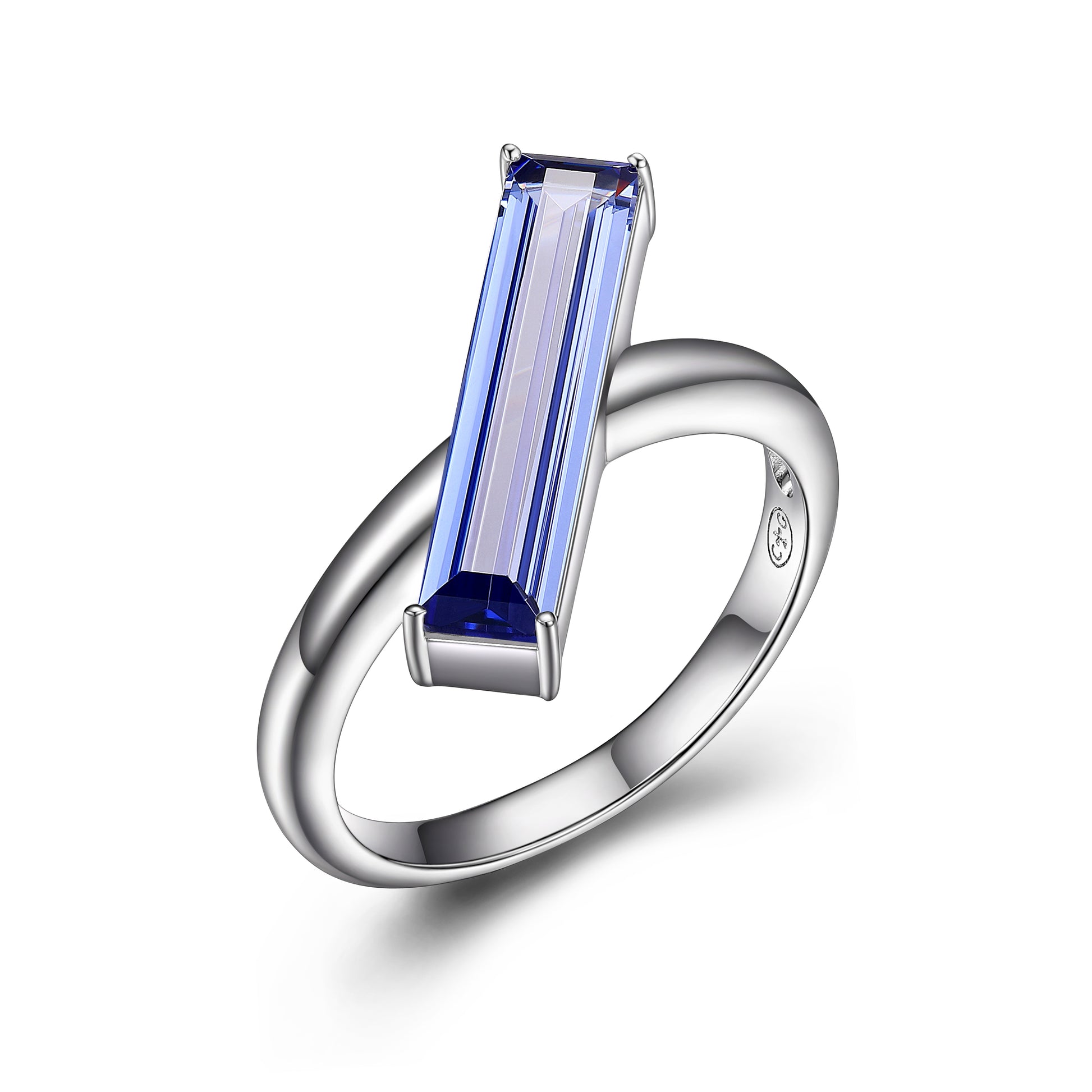 SXR3094WTZ | charles garnier