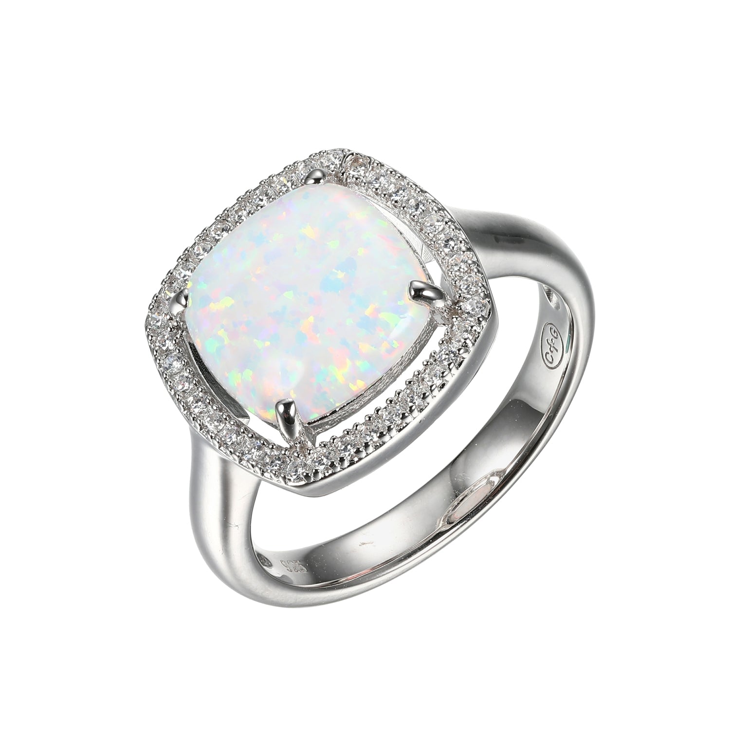 SXR3248WOP | charles garnier