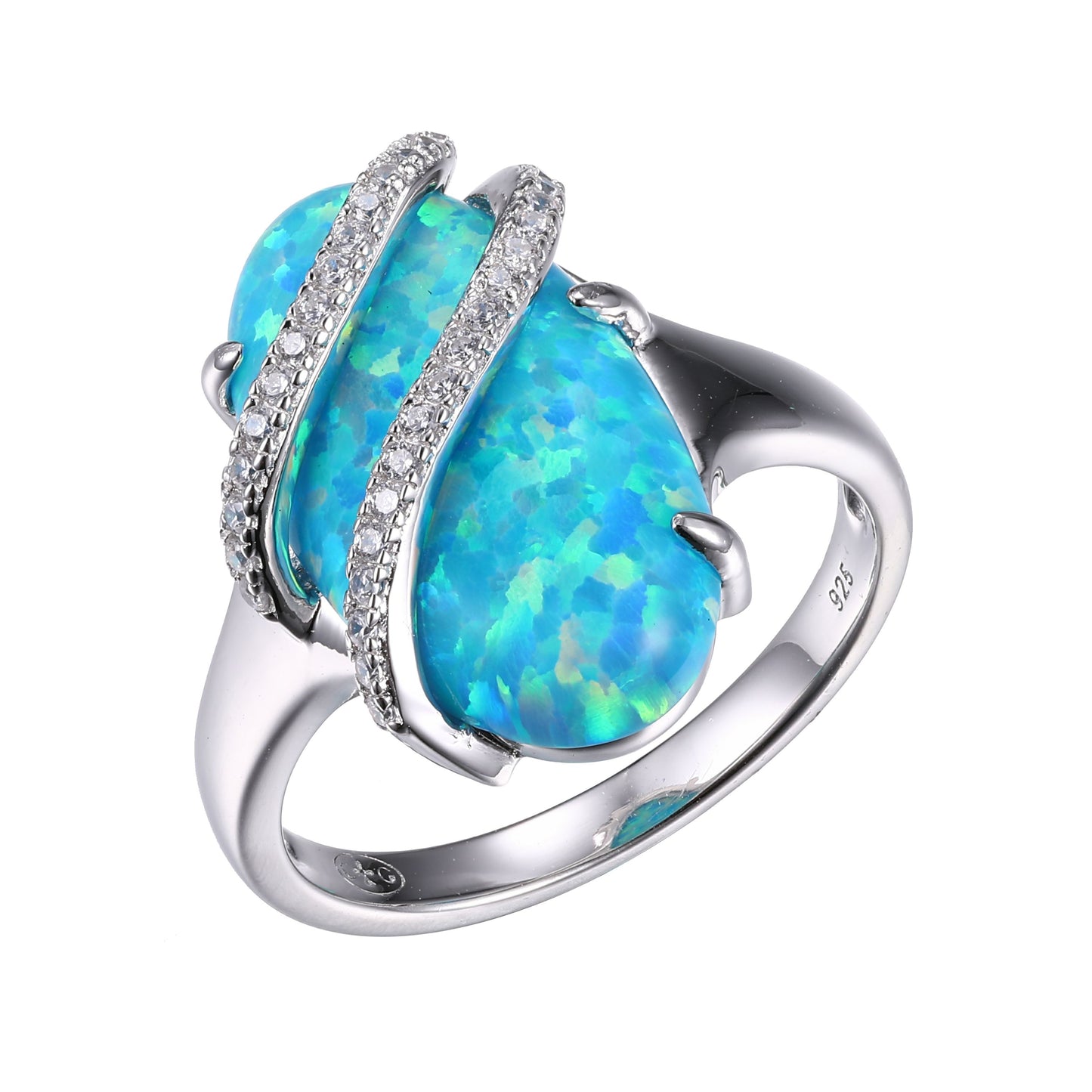 SXR3249WOB | charles garnier