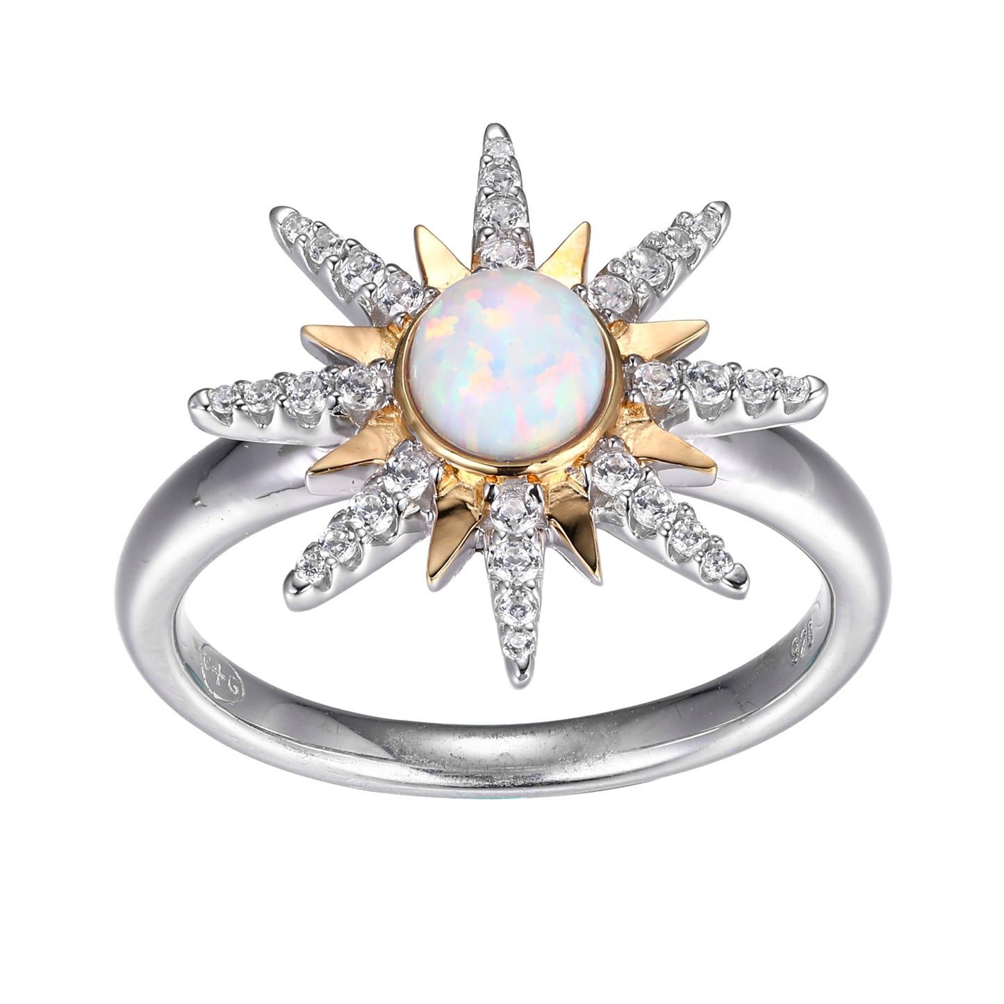 SXR3461WOP | charles garnier