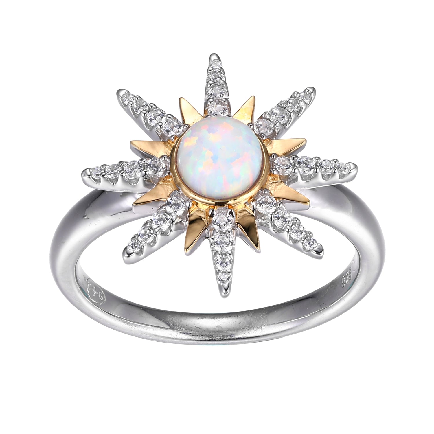 SXR3461WOP | charles garnier