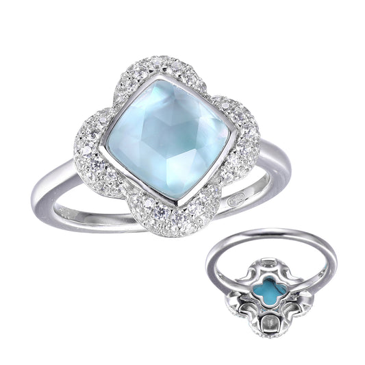 SXR3471WTT | charles garnier
