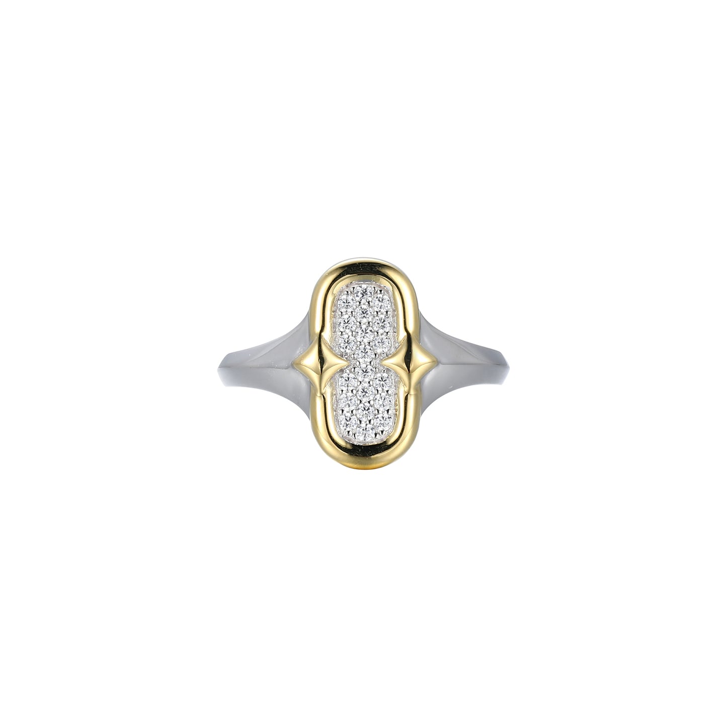 SXR3539 | charles garnier