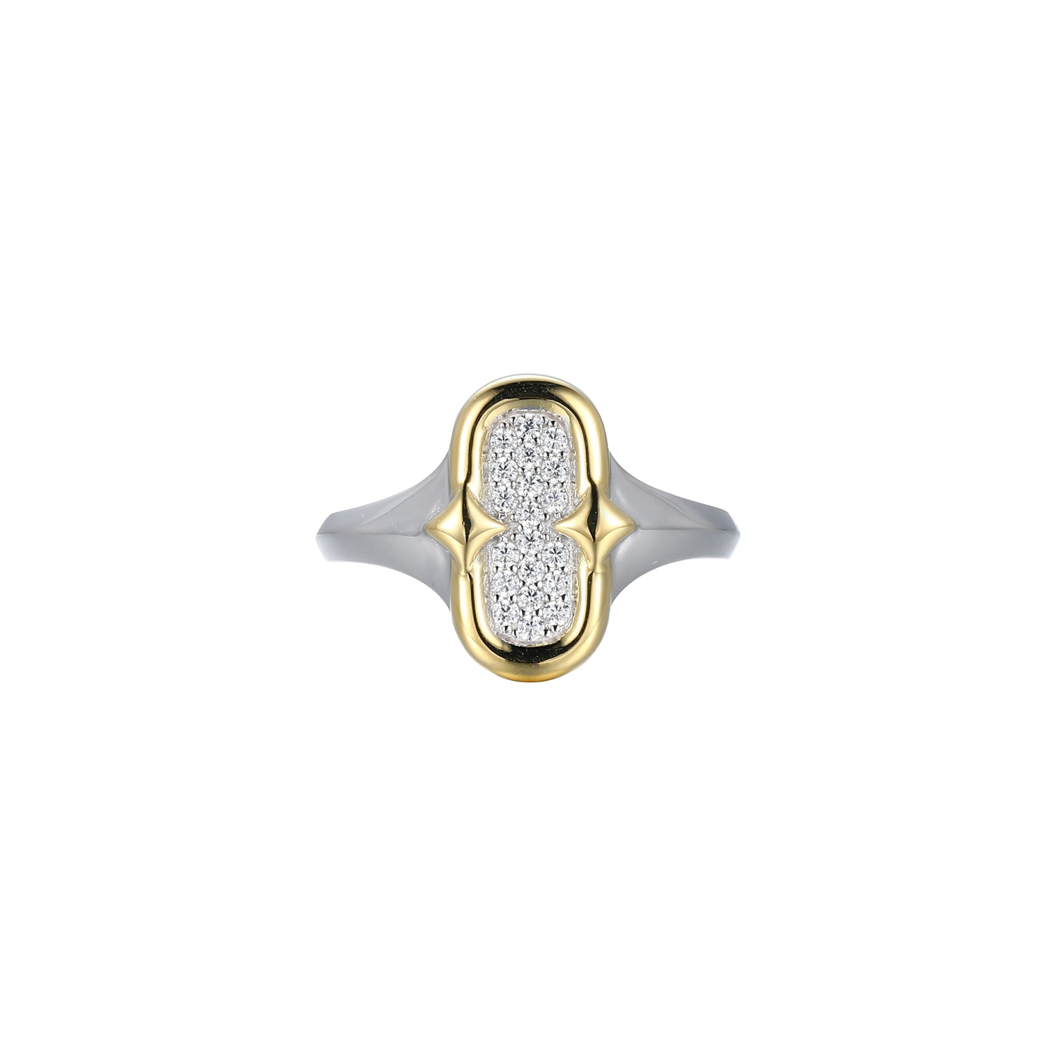 SXR3539 | charles garnier