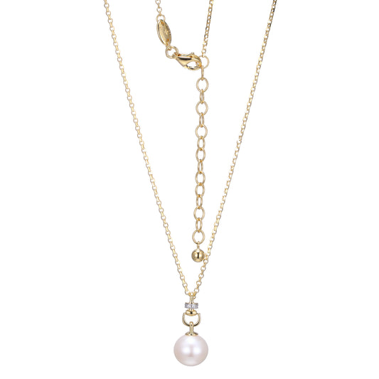 SN3482 | charles garnier