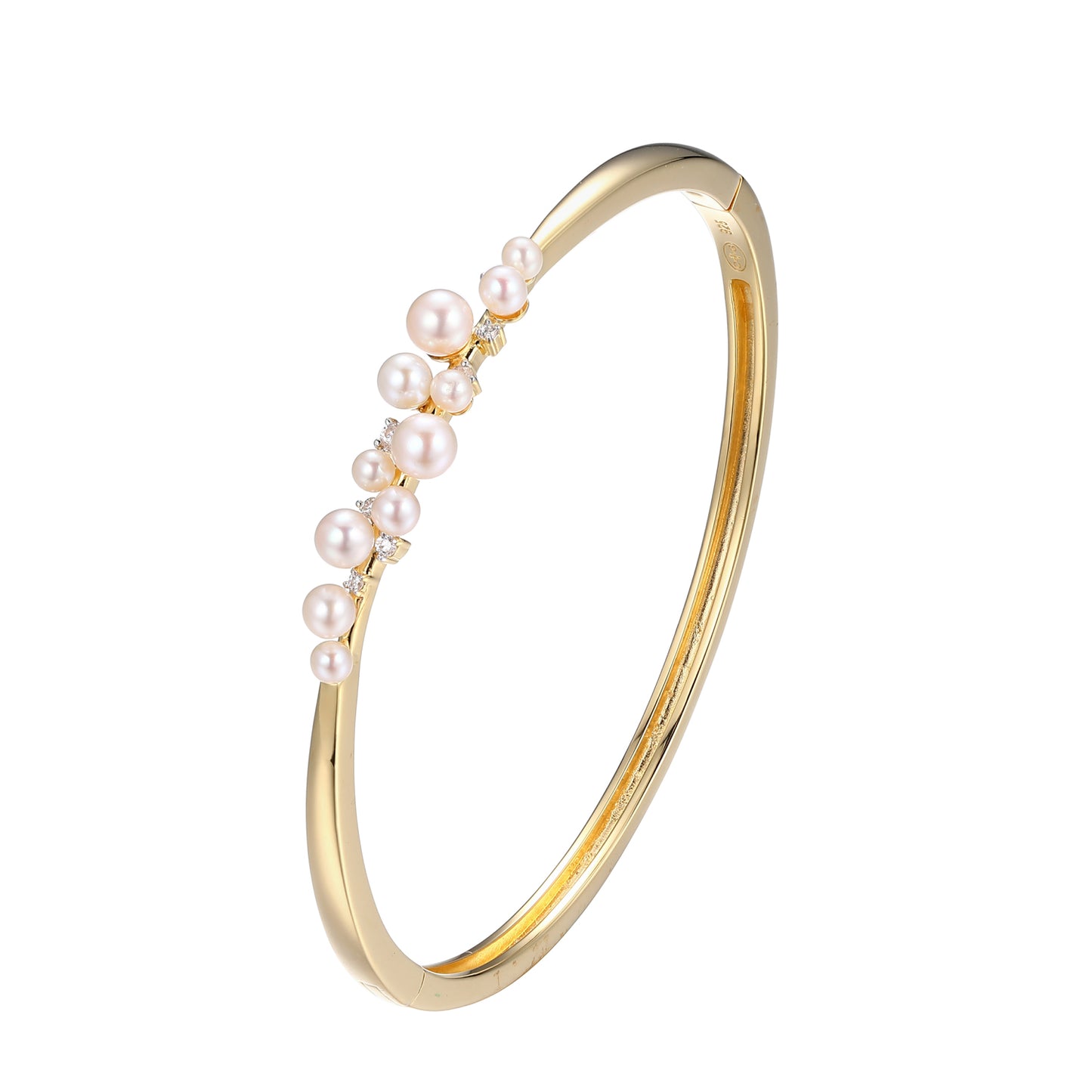 SB3525 | charles garnier