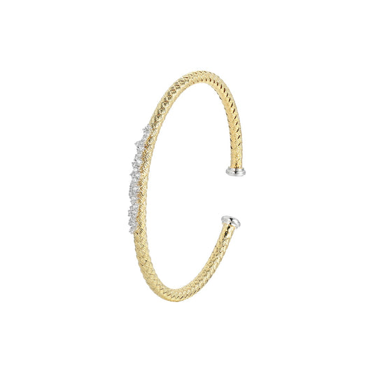 CB0030 | charles garnier