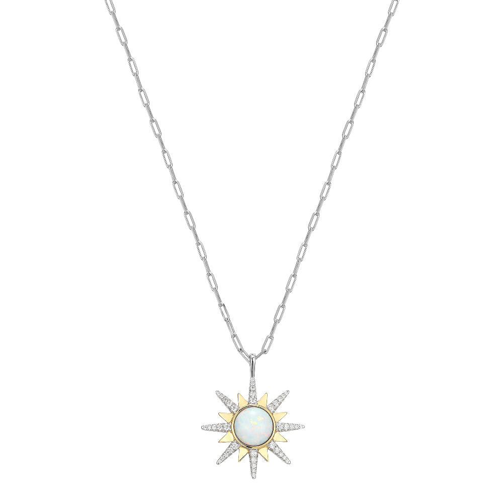 SXN3461YWOP17 | charles garnier