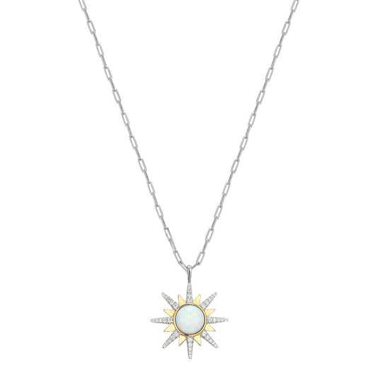 SXN3461YWOP17 | charles garnier