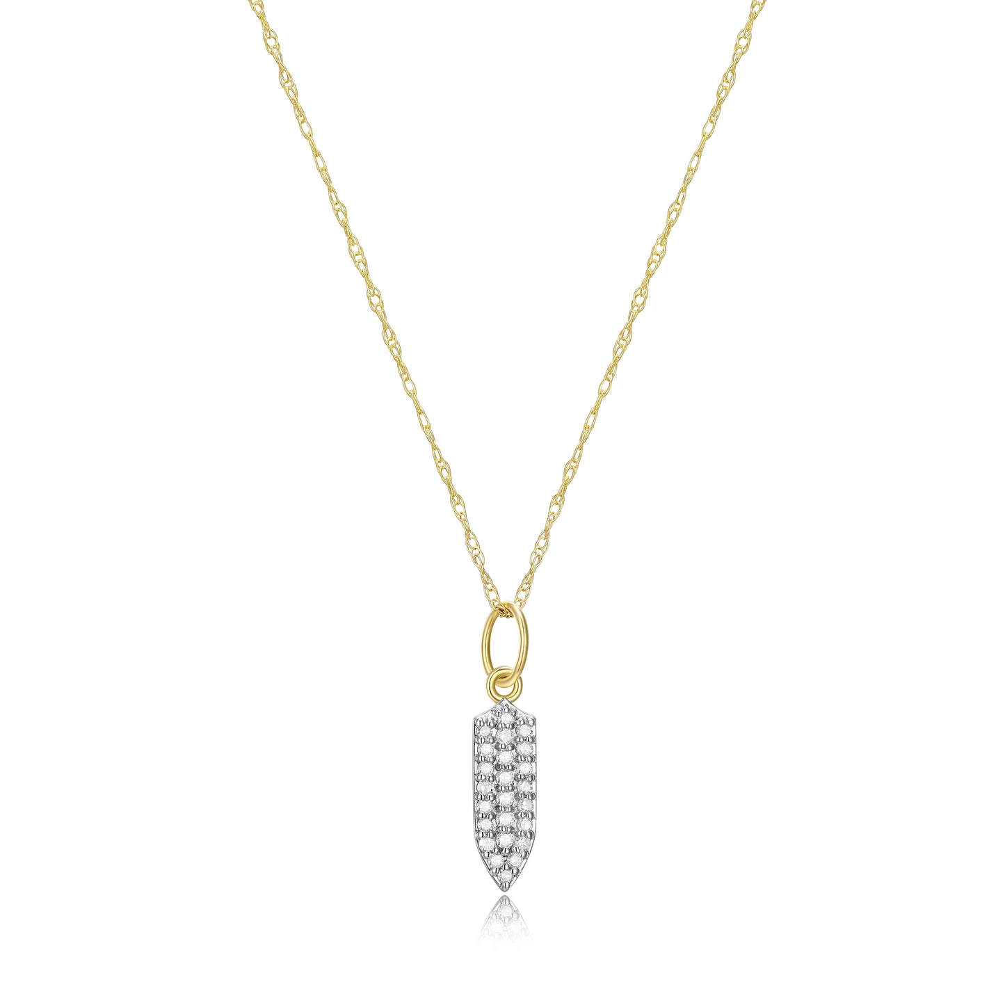 SN3510 | charles garnier
