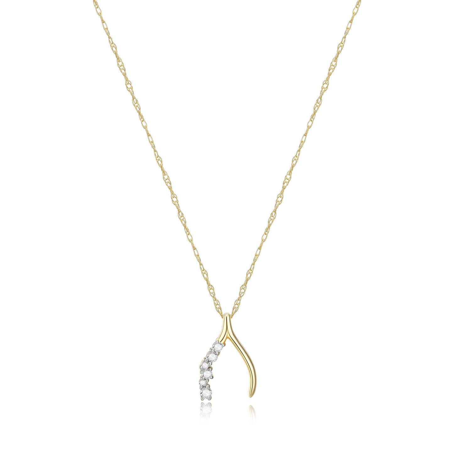 SN3511 | charles garnier