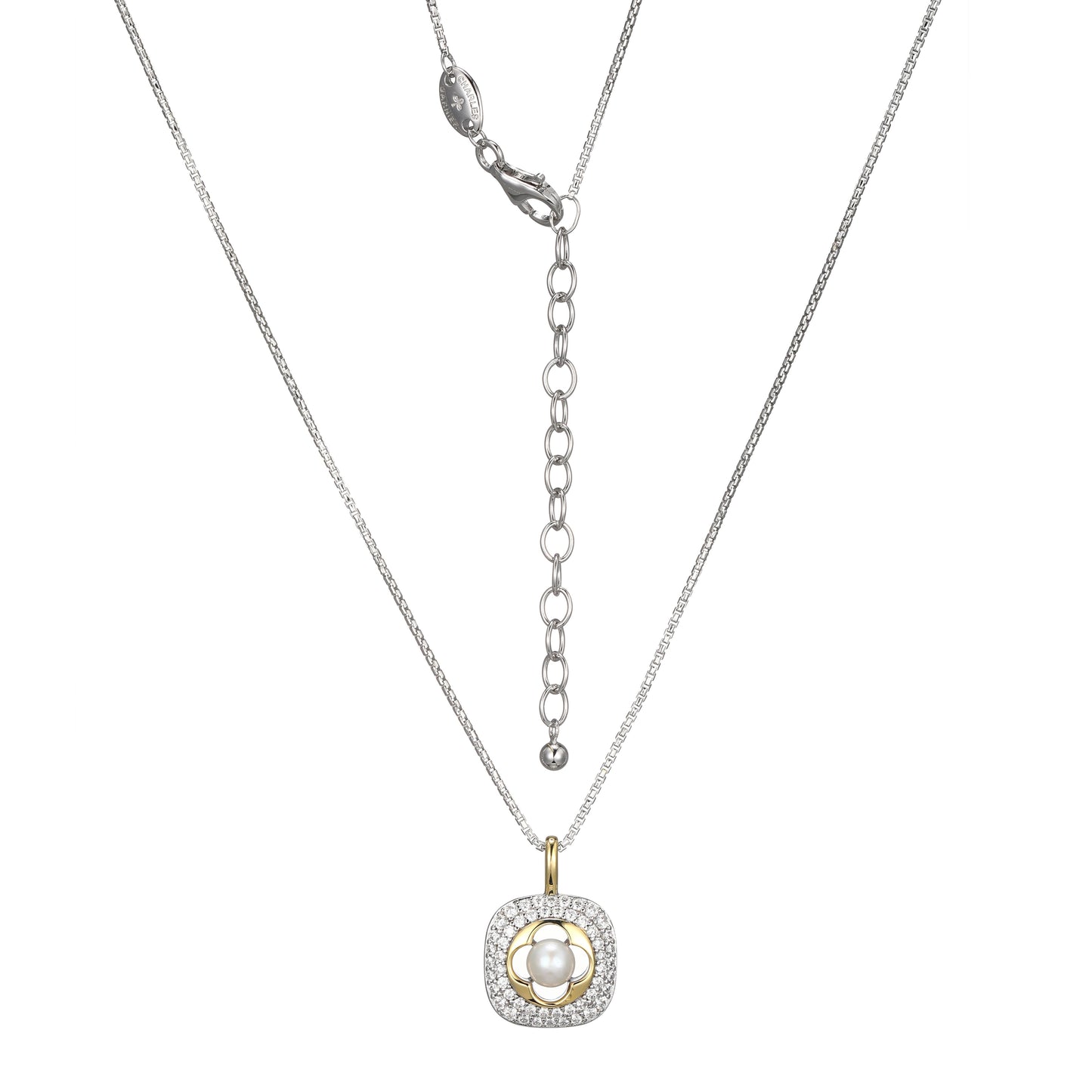 CN0107 | charles garnier