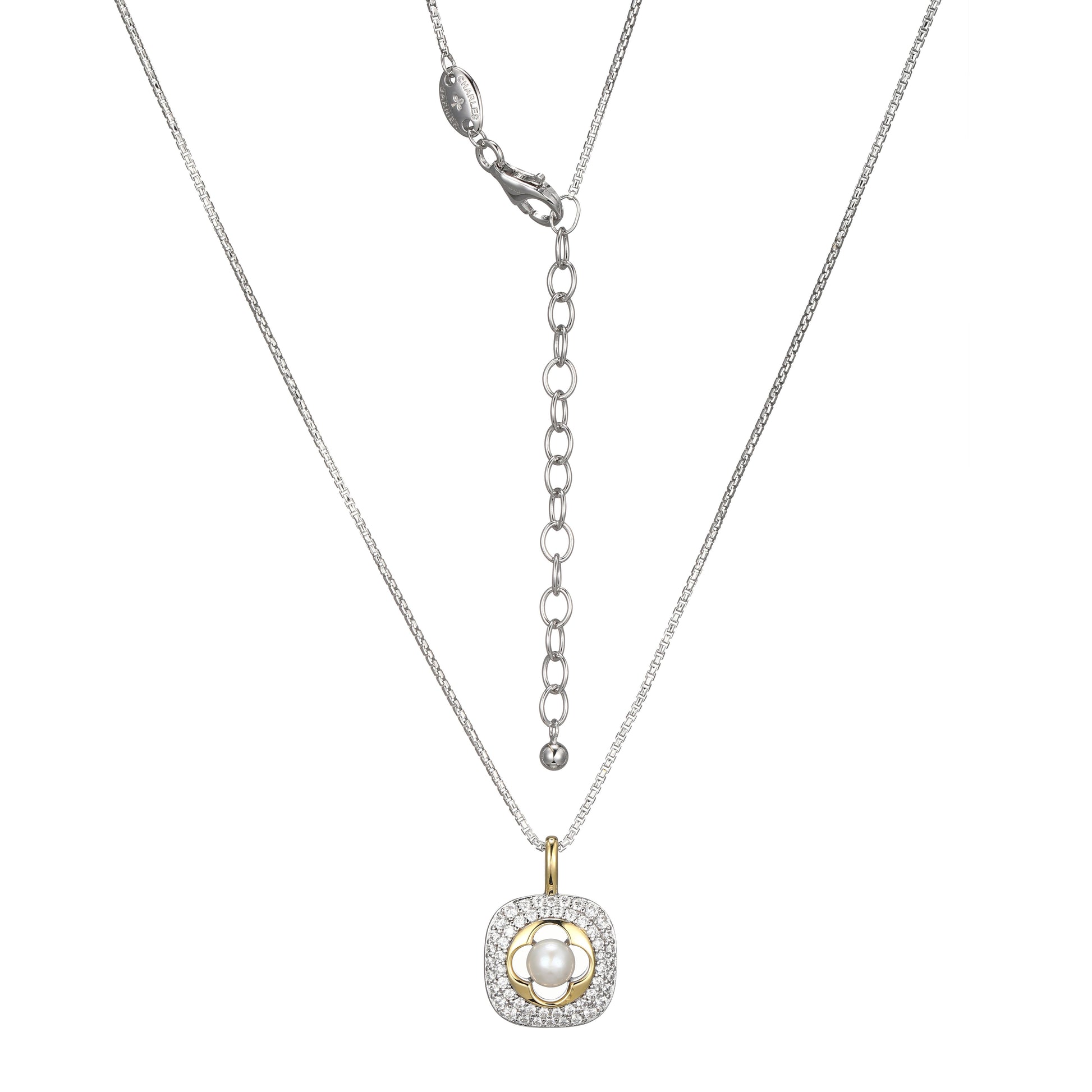 CN0107 | charles garnier