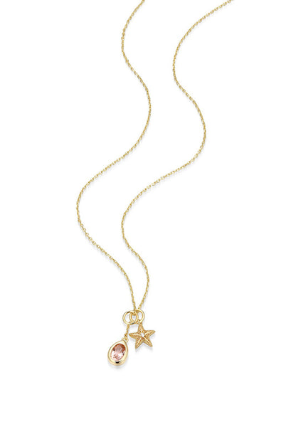 RN0296Y - Morganite Nano & Starfish Charm Necklace | reign